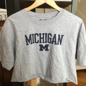 Champion University of Michigan Women's Gray Boyfriend Cropped Tee